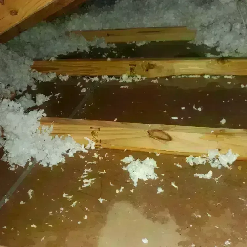 Attic Water Damage in Lakemoor, IL