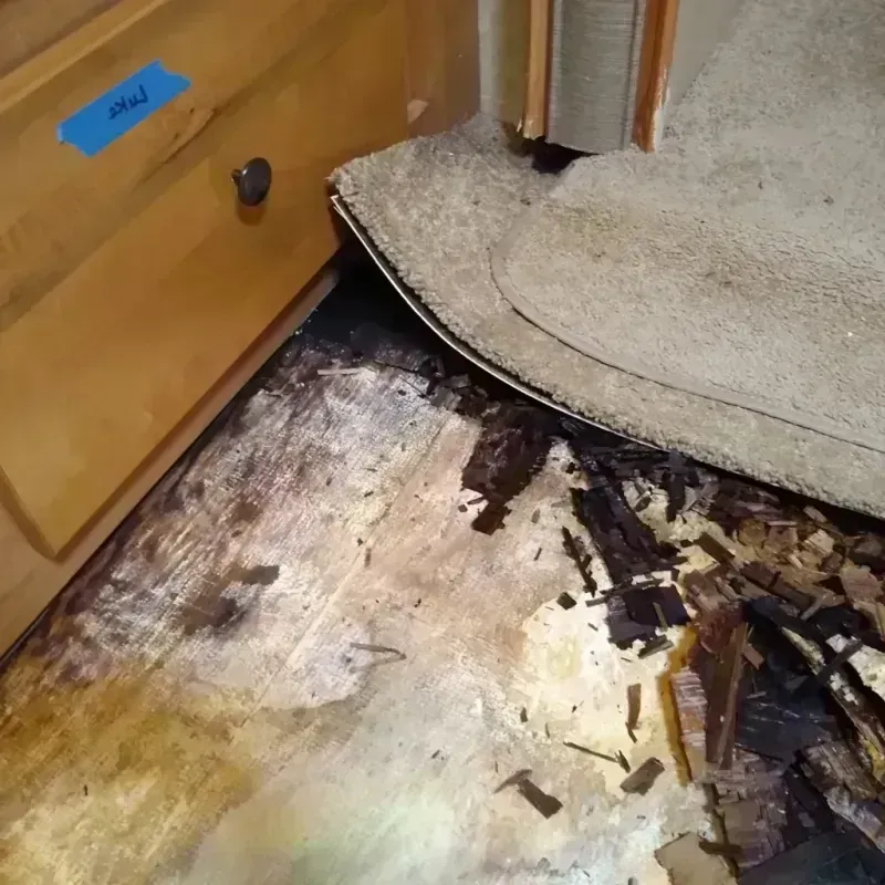 Wood Floor Water Damage in Lakemoor, IL